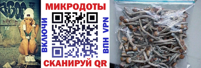 Купить  Красновишерск  Псилоцибиновые грибы Cubensis 