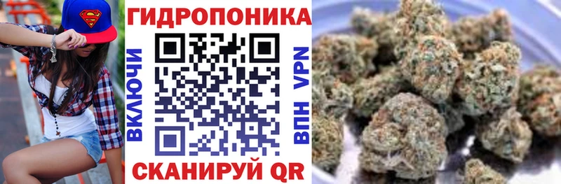 Канабис VHQ  Купить закладки  Красновишерск 